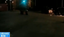 射视频,探索短视频的魅力与创作技巧